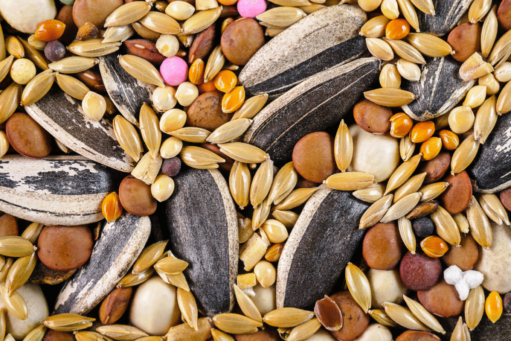 Top 5 Organic Seed Mixes for Budgies (2025 Review)