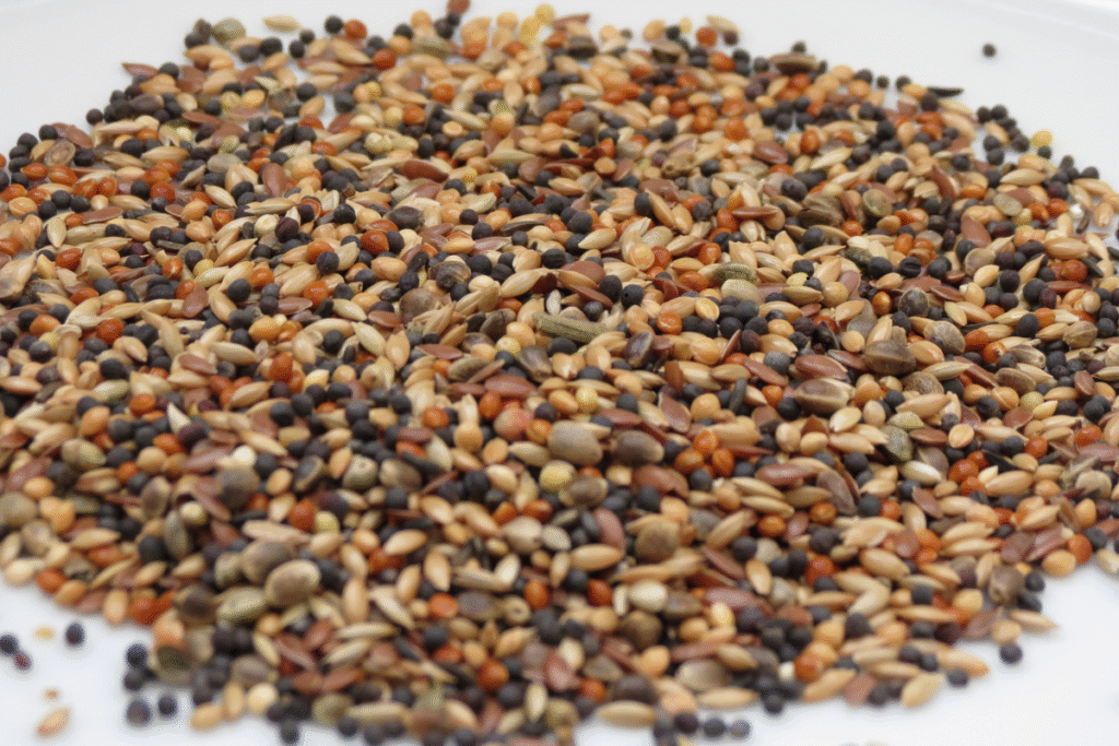 Organic Seed Mixes Your Budgie Will Love